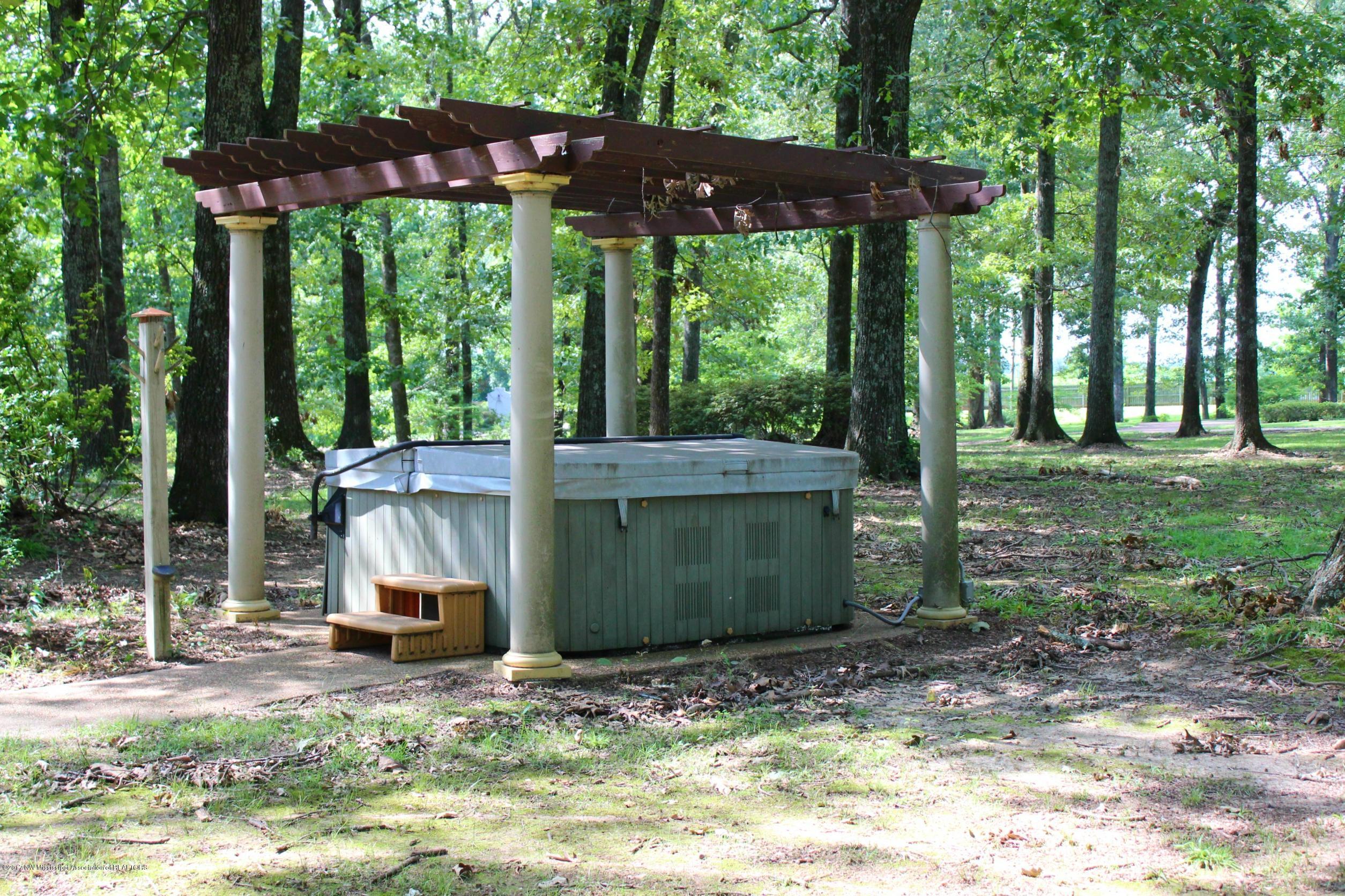 860 Hickory Ridge Drive Hernando, MS 38632 - Photo 8 of 39 Hot Tub