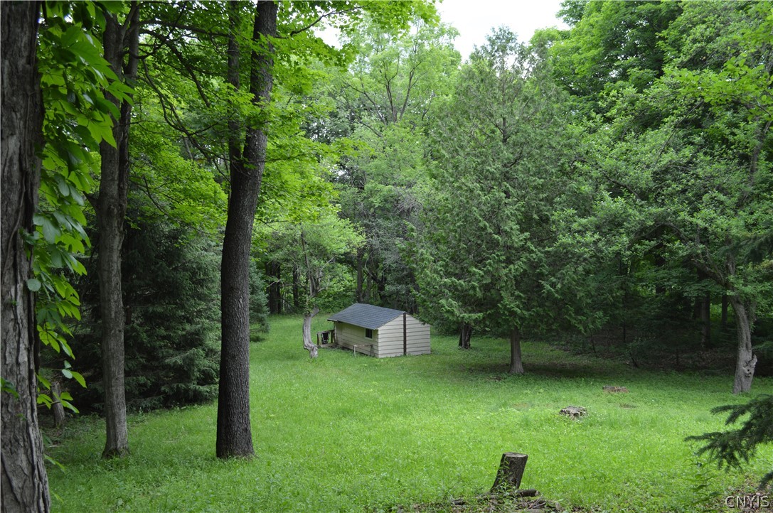 7447 Armstrong Road Manlius, NY 13104 - Photo 34 of 38