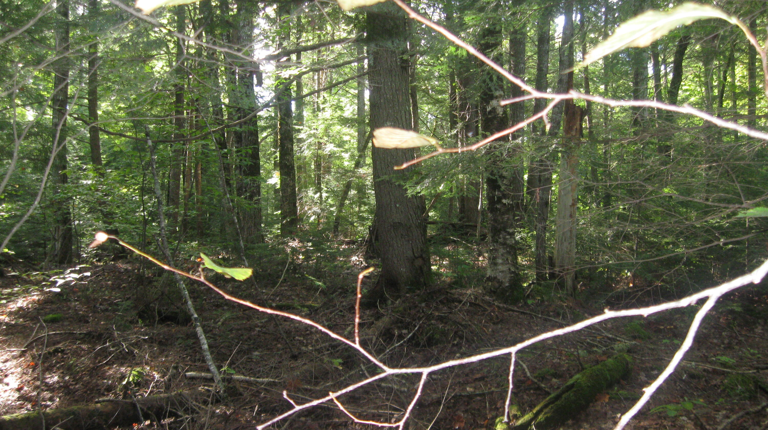 R6-05 Mattmiscontis Road Howland, ME 04448 - Photo 6 of 9 Lot
