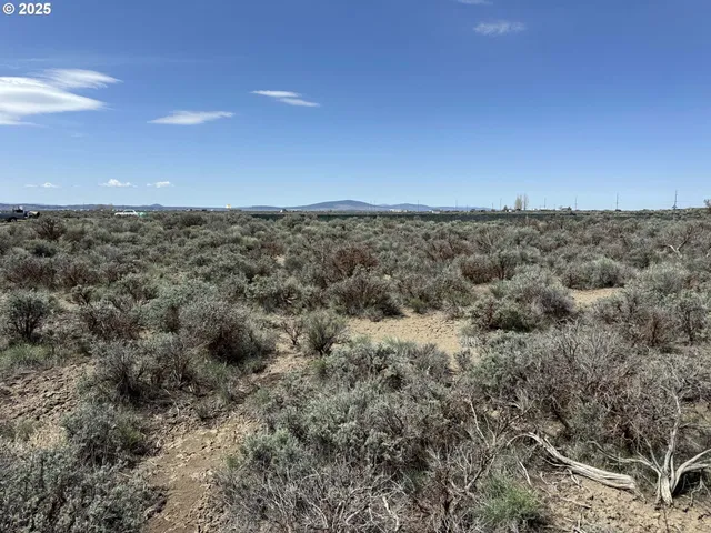 a view of a dry space with lots of trees in the background