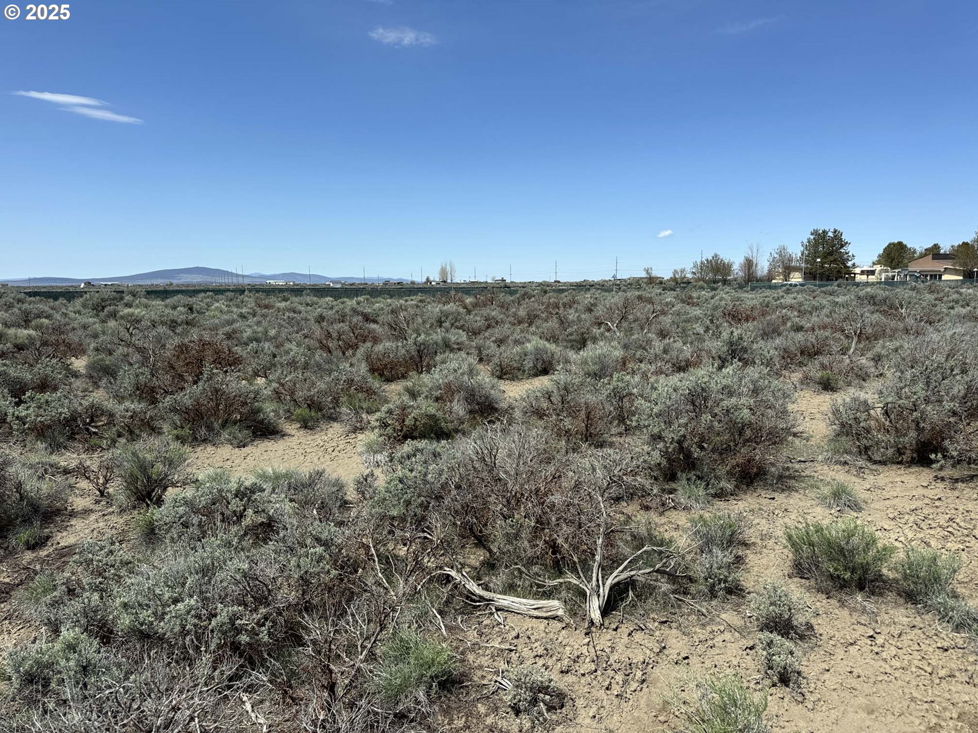 Tinsel Road, Unit 2600 Christmas Valley, OR 97641 - Photo 12 of 20 a view of a dry yard with lots of trees