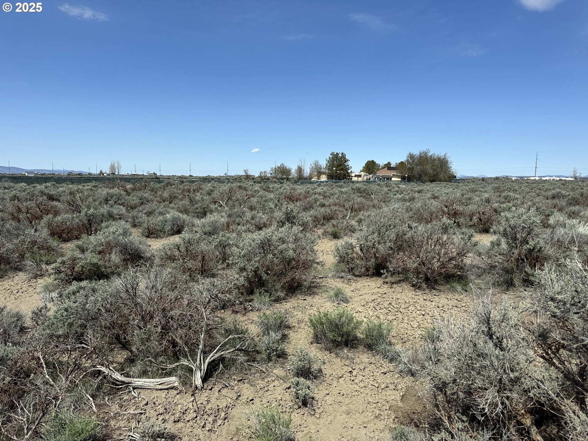 Tinsel Road, Unit 2600 Christmas Valley, OR 97641 - Photo 13 of 20 a view of a dry field with trees in the background