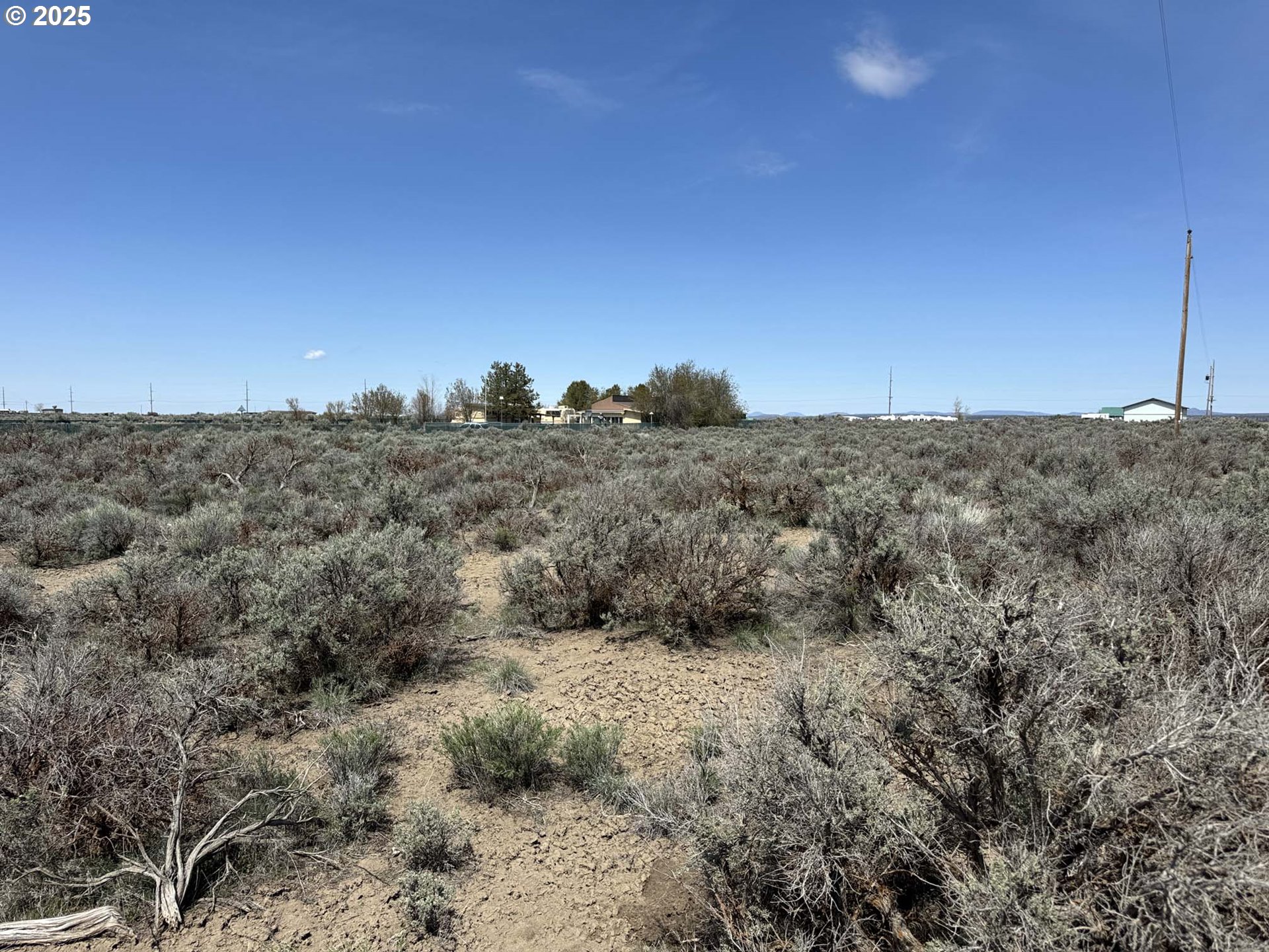 Tinsel Road, Unit 2600 Christmas Valley, OR 97641 - Photo 14 of 20 a view of a dry space with lots of trees in the background