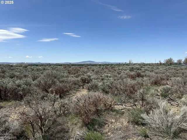 $17,000 | Tinsel Road, Unit 2600, Christmas Valley, OR 97641