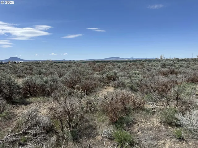 $17,000 | Tinsel Road, Unit 2600, Christmas Valley, OR 97641