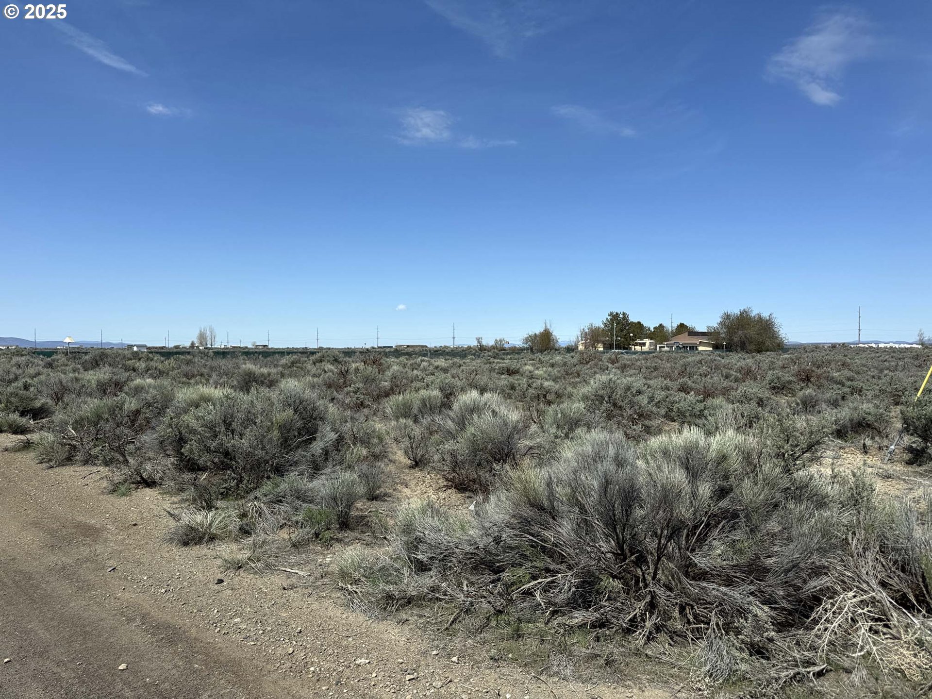 Tinsel Road, Unit 2600 Christmas Valley, OR 97641 - Photo 6 of 20 a view of a dry yard with trees in the background