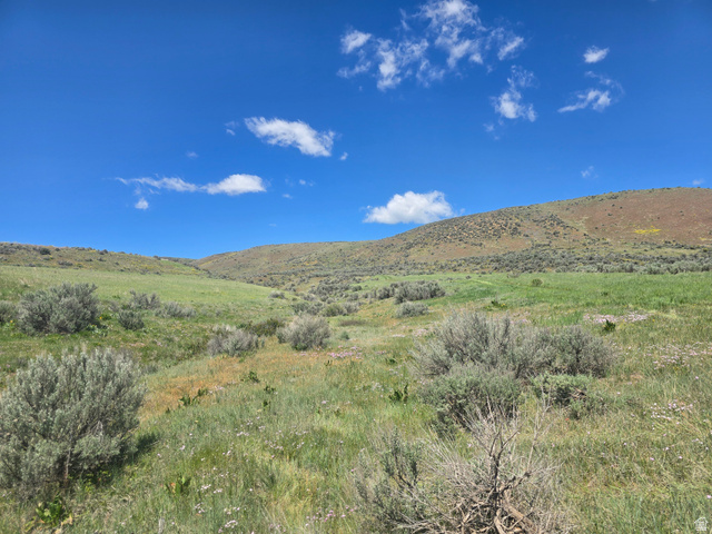8400 North Treasurton Road Preston, ID 83263 - Photo 8 of 13 Expansive open land featuring rolling hills, varied green foliage, and natural brush