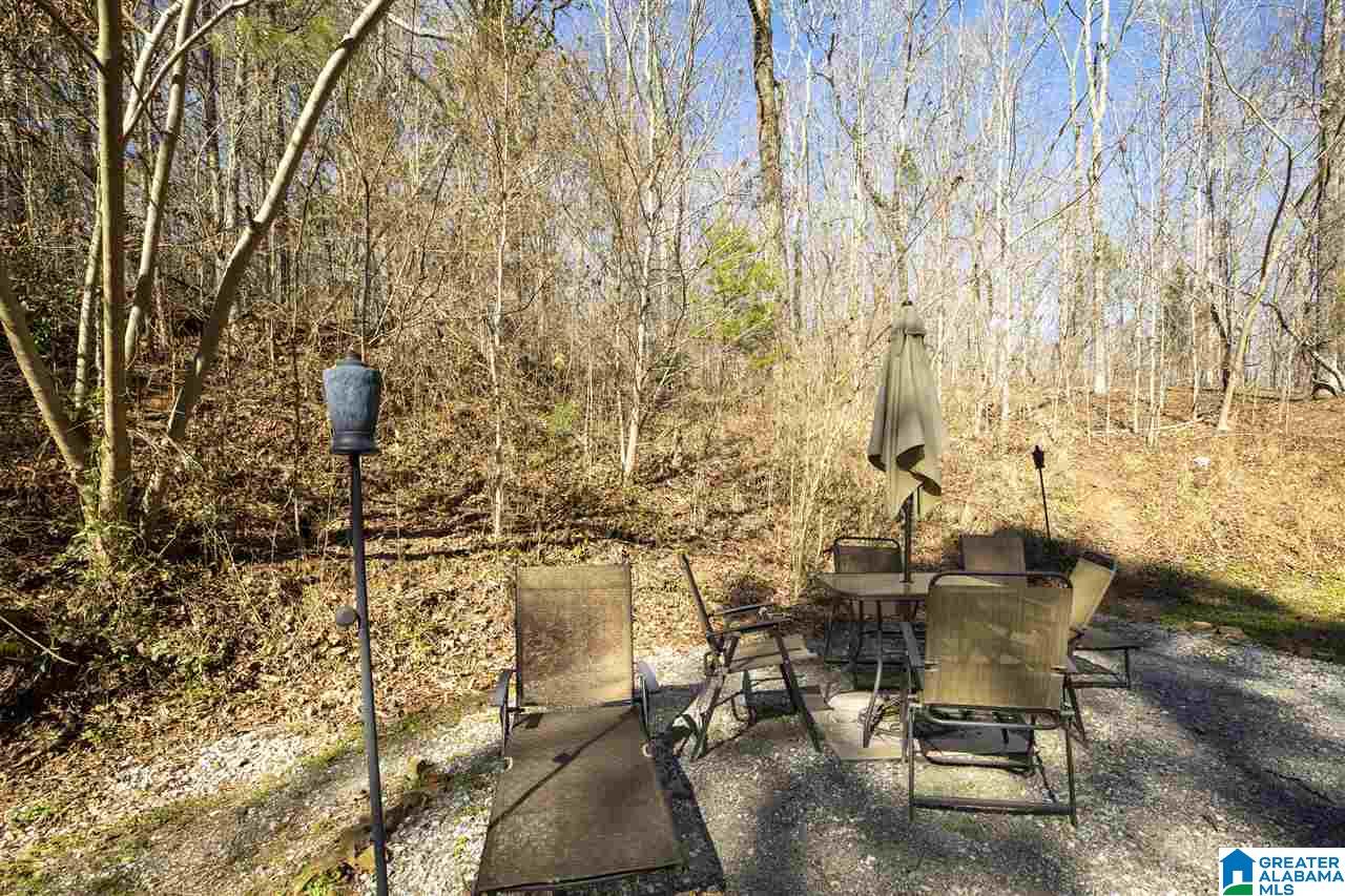 167 Sequoyah Road Pell City, AL 35128 - Photo 6 of 43