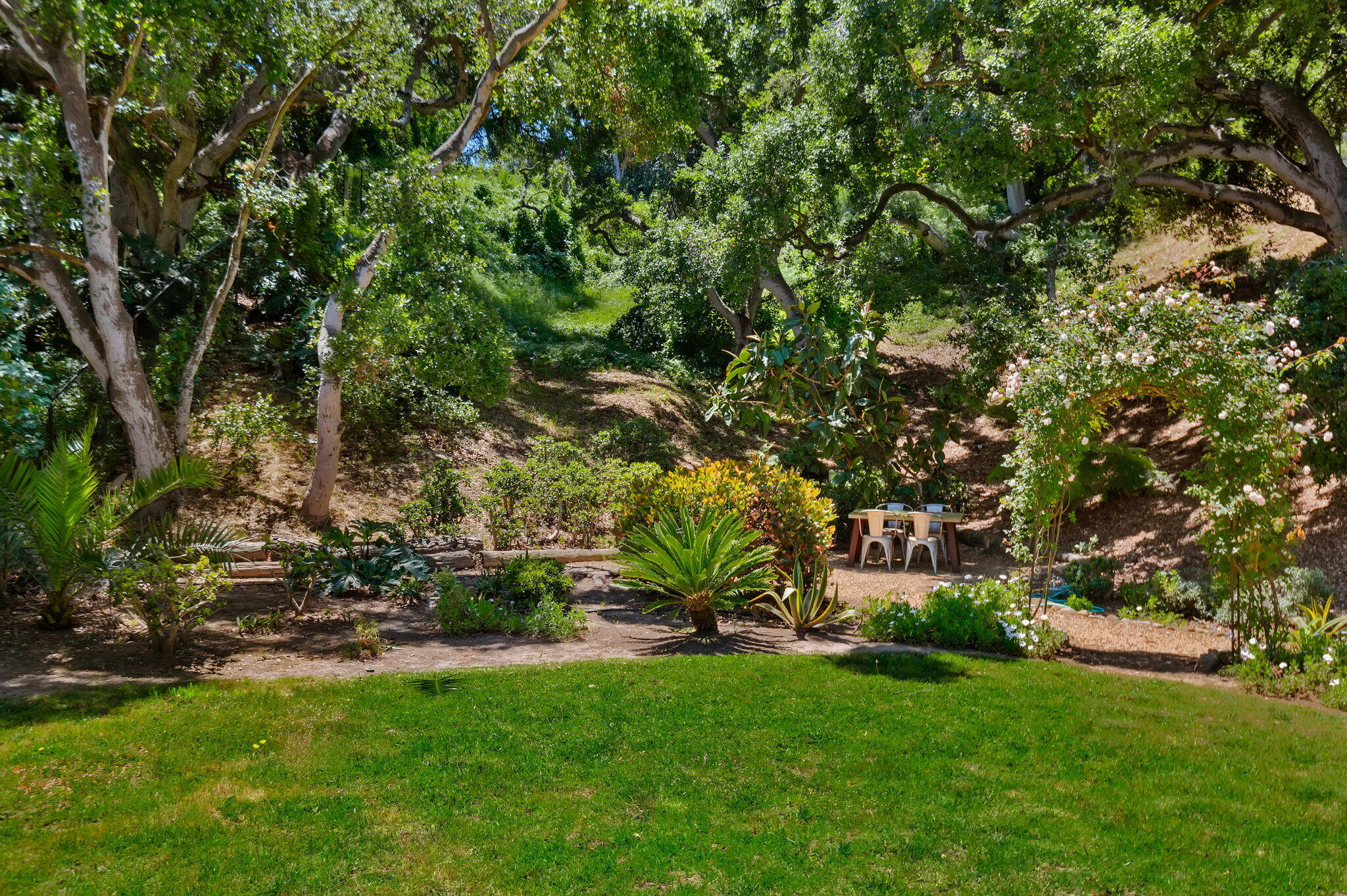 1102 Plaza Del Monte Santa Barbara, CA 93101 - Photo 26 of 53 Stunning Landscaping