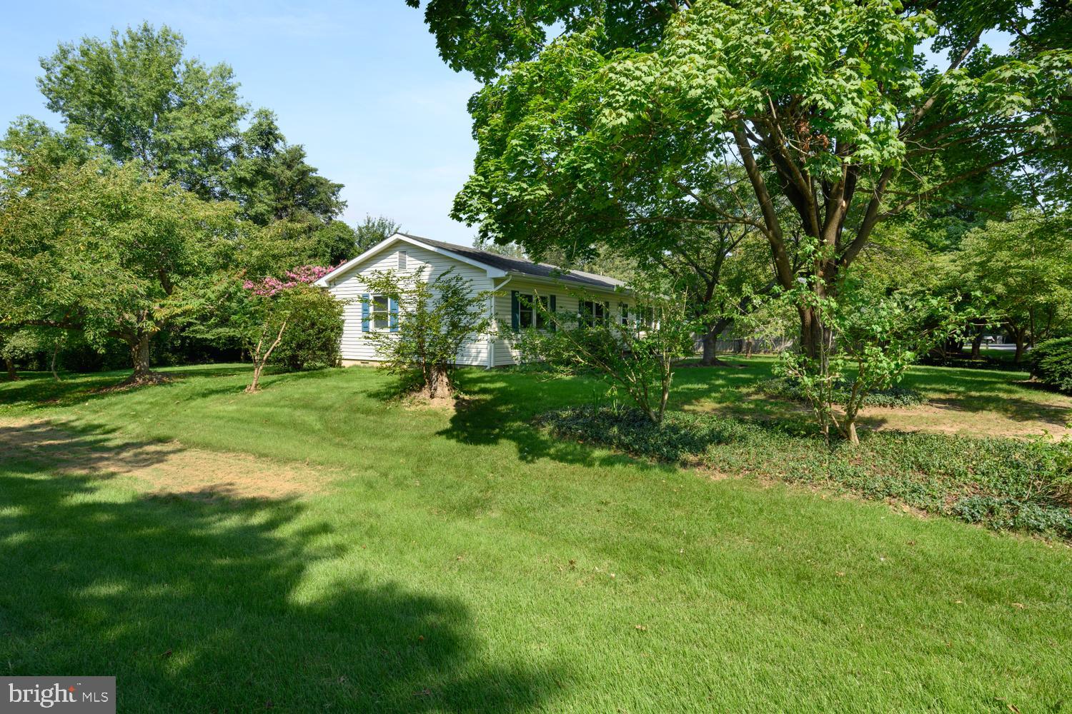 217 Edmore Road Chestertown, MD 21620 - Photo 30 of 36 Gallery Image 30