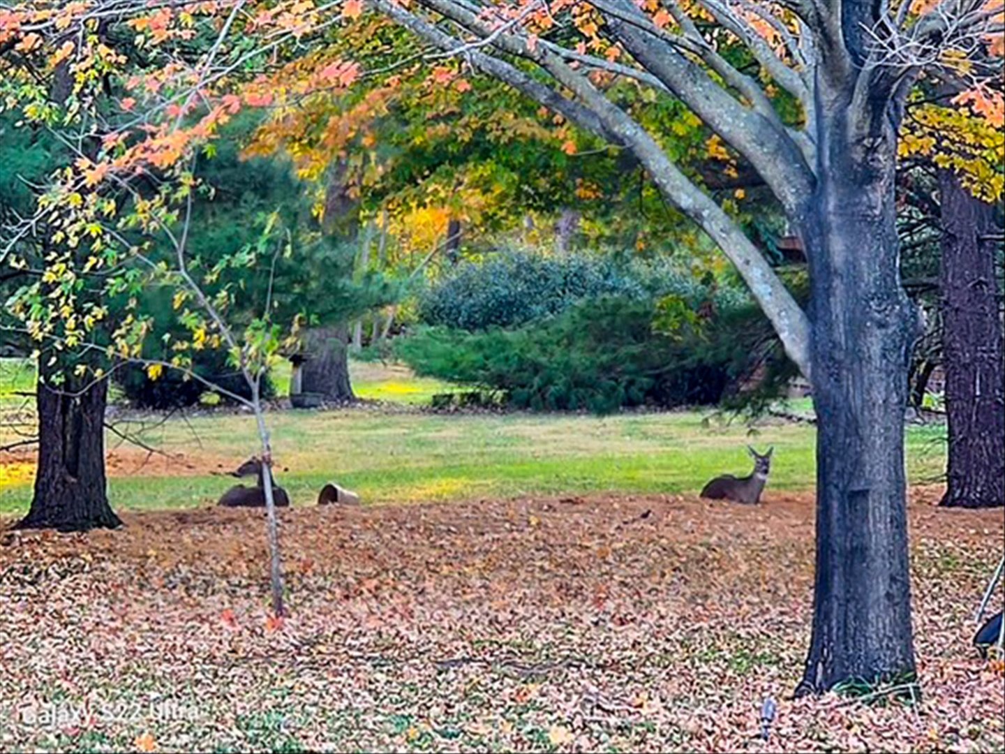 1307 Cross Creek Road Mahomet, IL 61853 - Photo 61 of 72