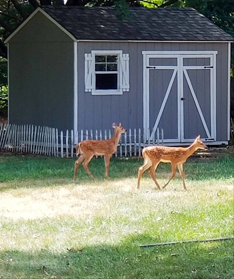 1307 Cross Creek Road Mahomet, IL 61853 - Photo 62 of 72
