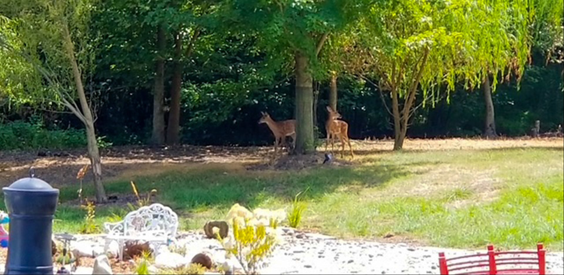 1307 Cross Creek Road Mahomet, IL 61853 - Photo 63 of 72