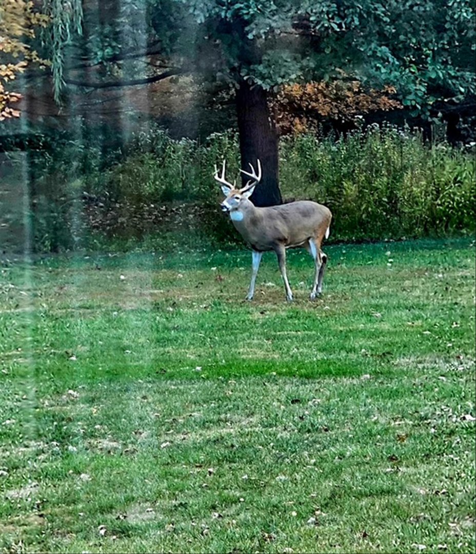 1307 Cross Creek Road Mahomet, IL 61853 - Photo 64 of 72
