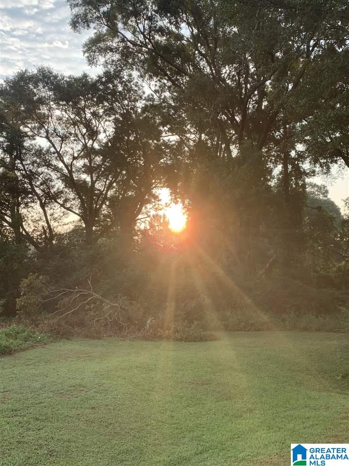 208 Old Downing Ml Road Anniston, AL 36207 - Photo 45 of 50