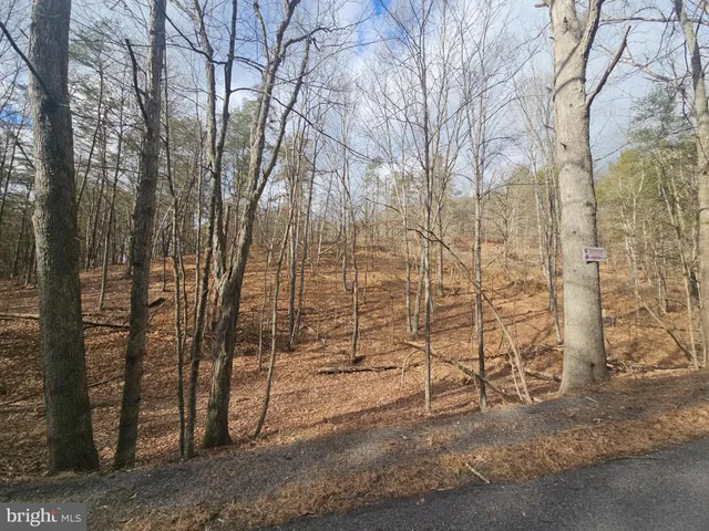 a view of a pathway both side of building