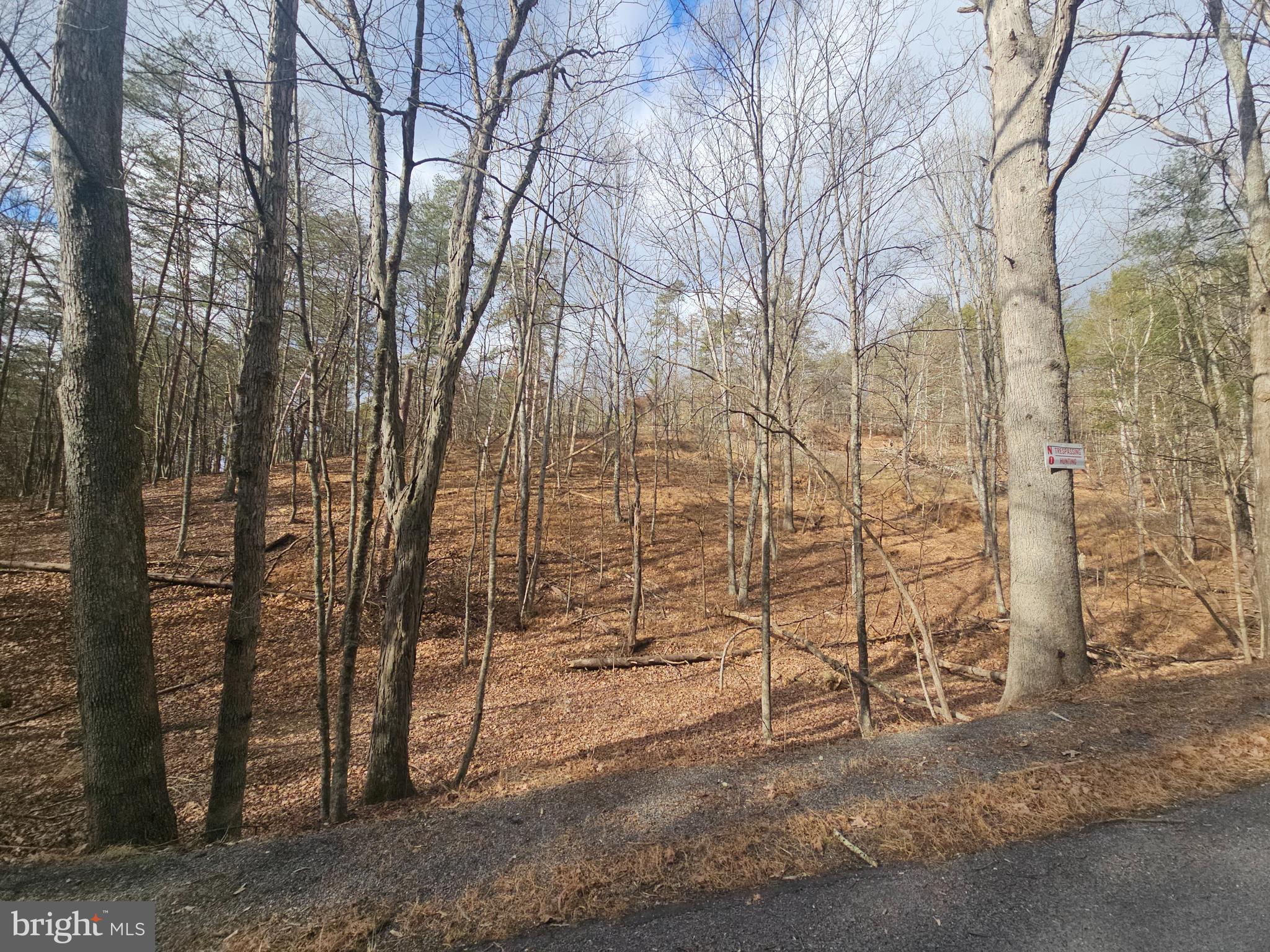 211 Martin Road Artemas, PA 17211 - Photo 11 of 38 a backyard of a house with lots of green space