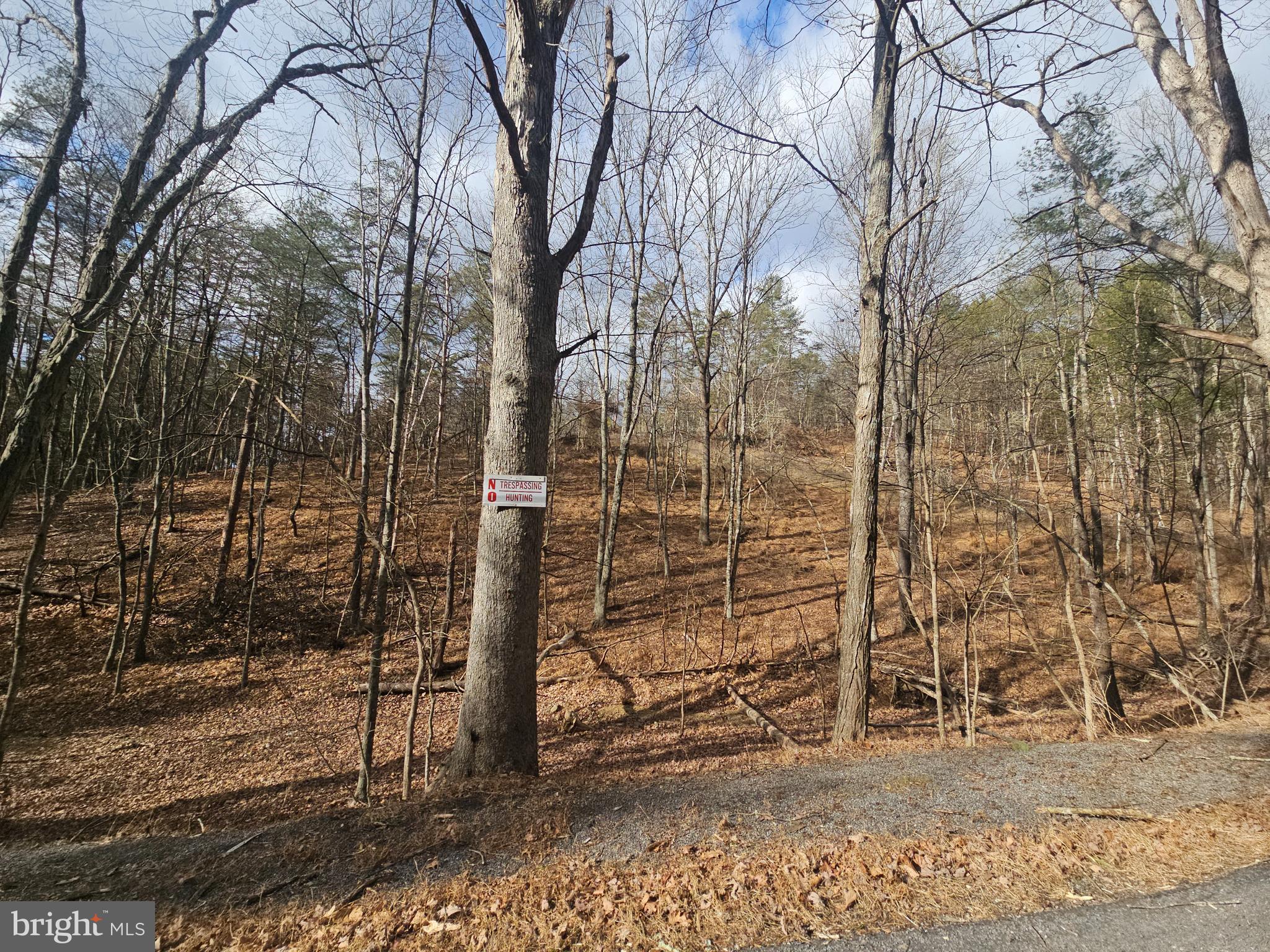 211 Martin Road Artemas, PA 17211 - Photo 12 of 38 a view of a pathway both side of building