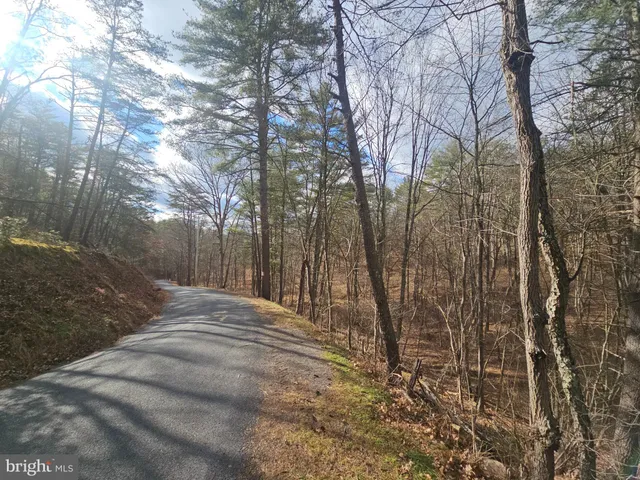 a view of a yard with large trees