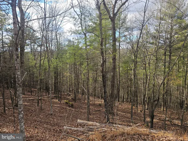 a backyard of a house with table and chairs under an umbrella
