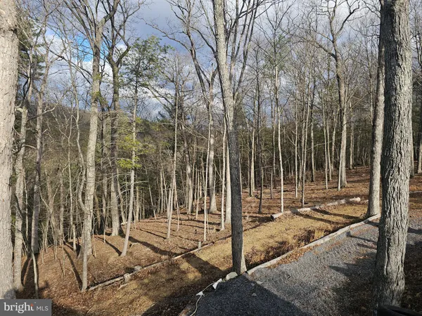 a backyard of a house with trees
