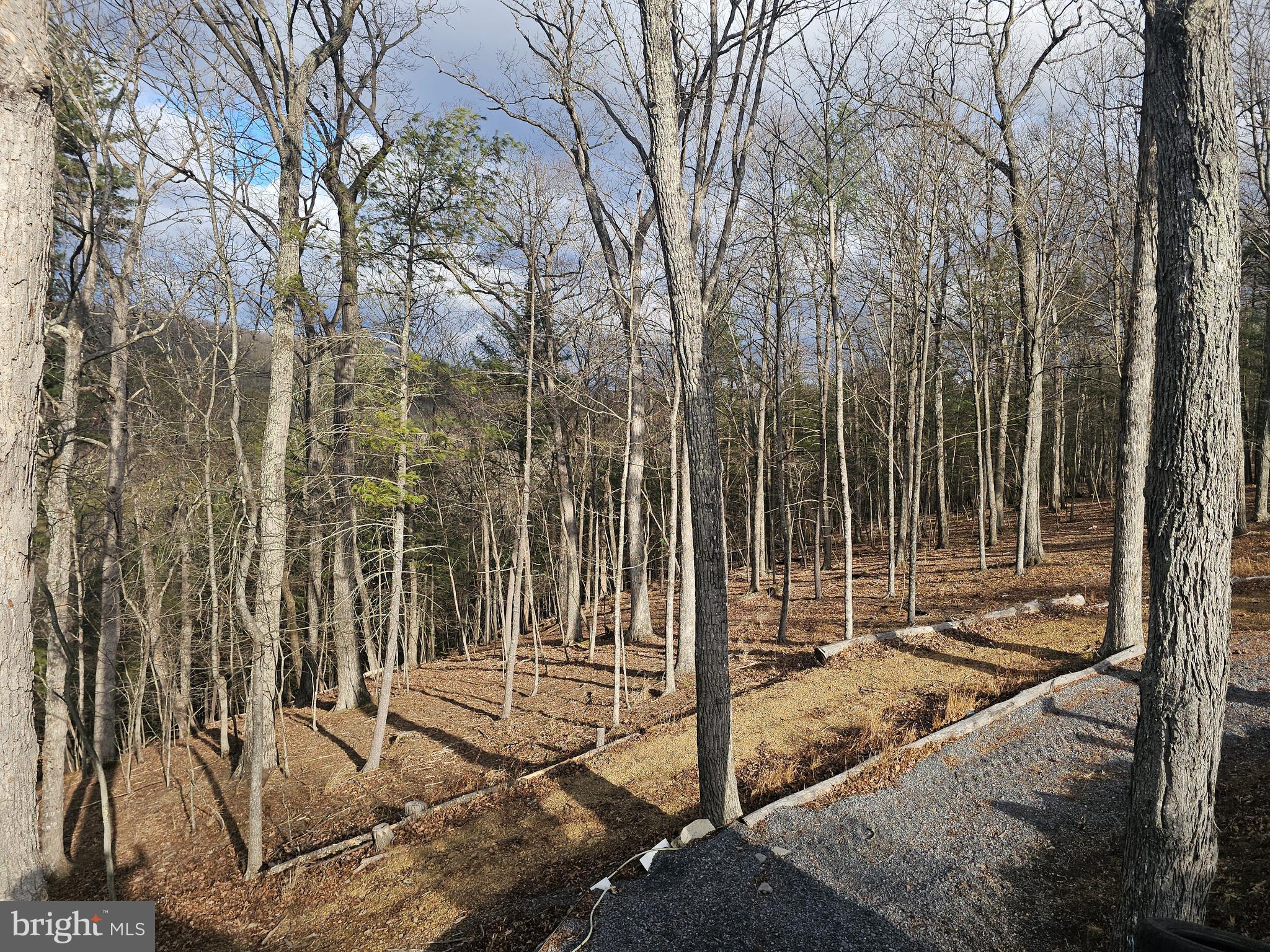 211 Martin Road Artemas, PA 17211 - Photo 33 of 38 a view of a backyard