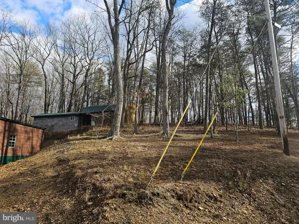 a view of backyard with green space