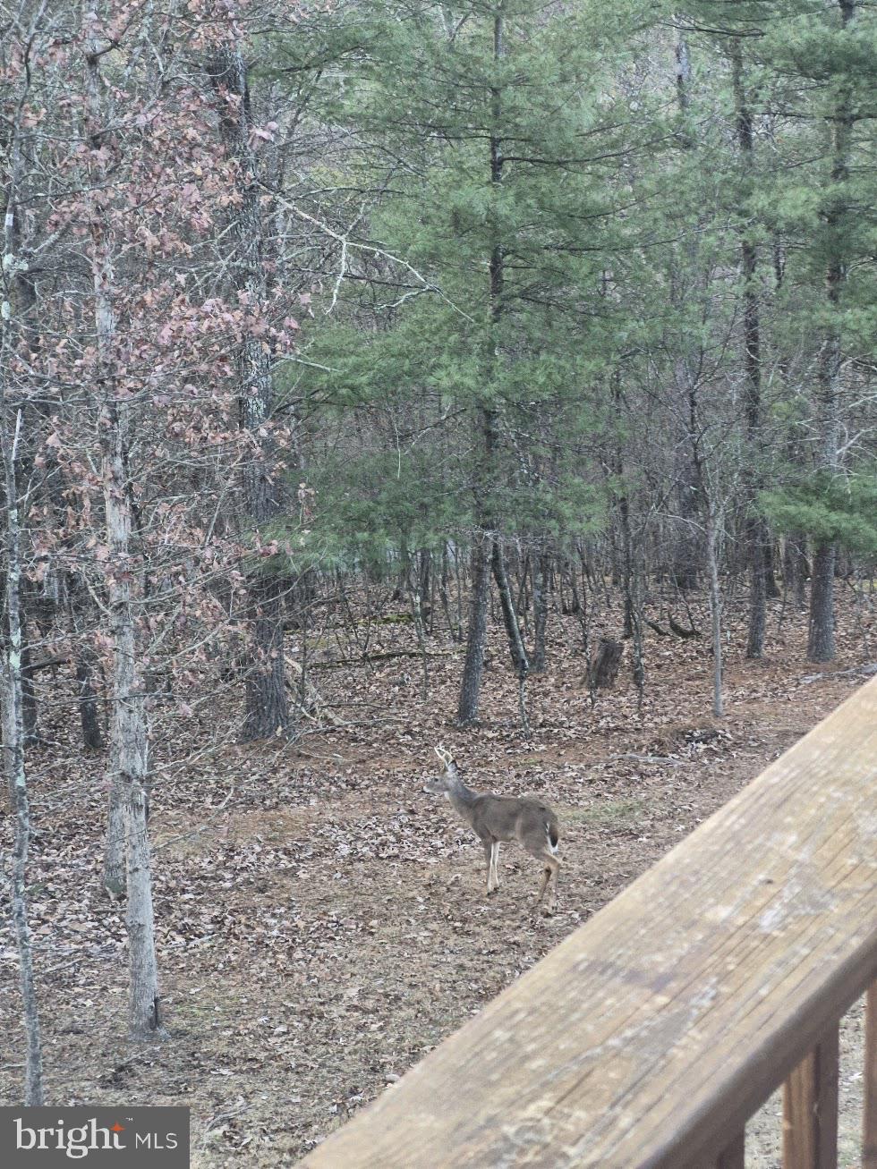 211 Martin Road Artemas, PA 17211 - Photo 37 of 38 a view of a dry yard with wooden fence