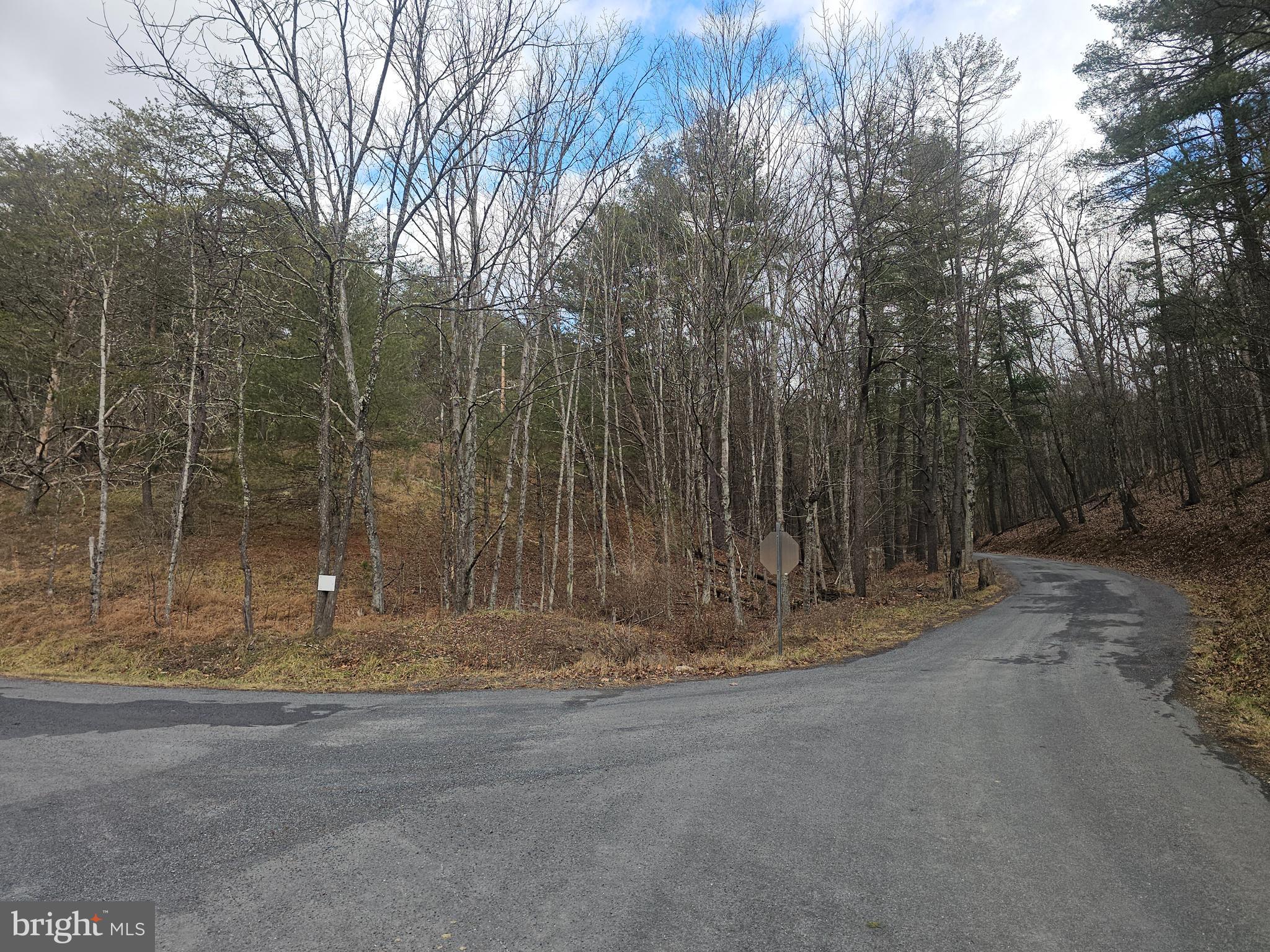 211 Martin Road Artemas, PA 17211 - Photo 4 of 38 a view of a wooden fence and trees