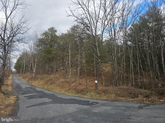 a view of a park with large trees
