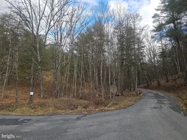 a view of outdoor space with wooden fence and trees