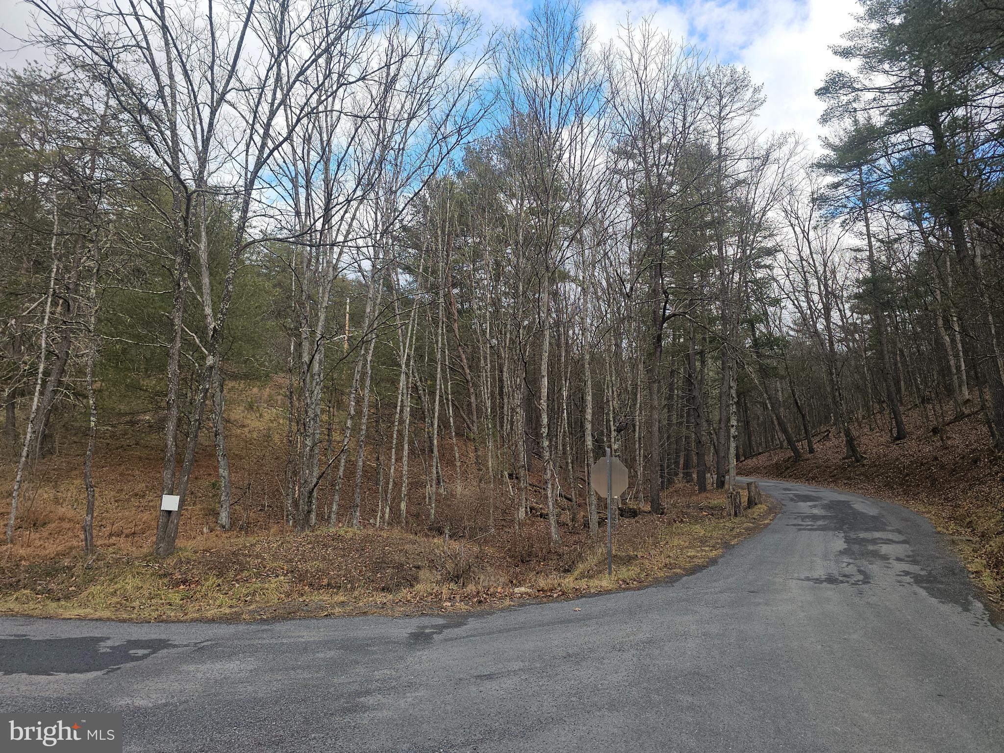 211 Martin Road Artemas, PA 17211 - Photo 6 of 38 a view of a park with large trees