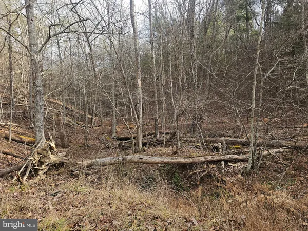 a view of outdoor space with wooden fence