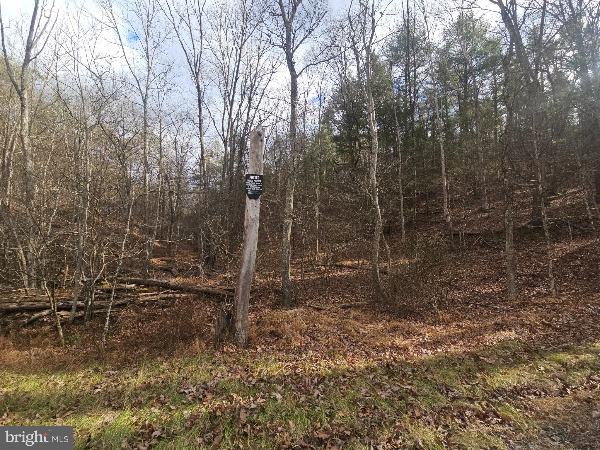 211 Martin Road Artemas, PA 17211 - Photo 9 of 38 a backyard of a house with lots of green space