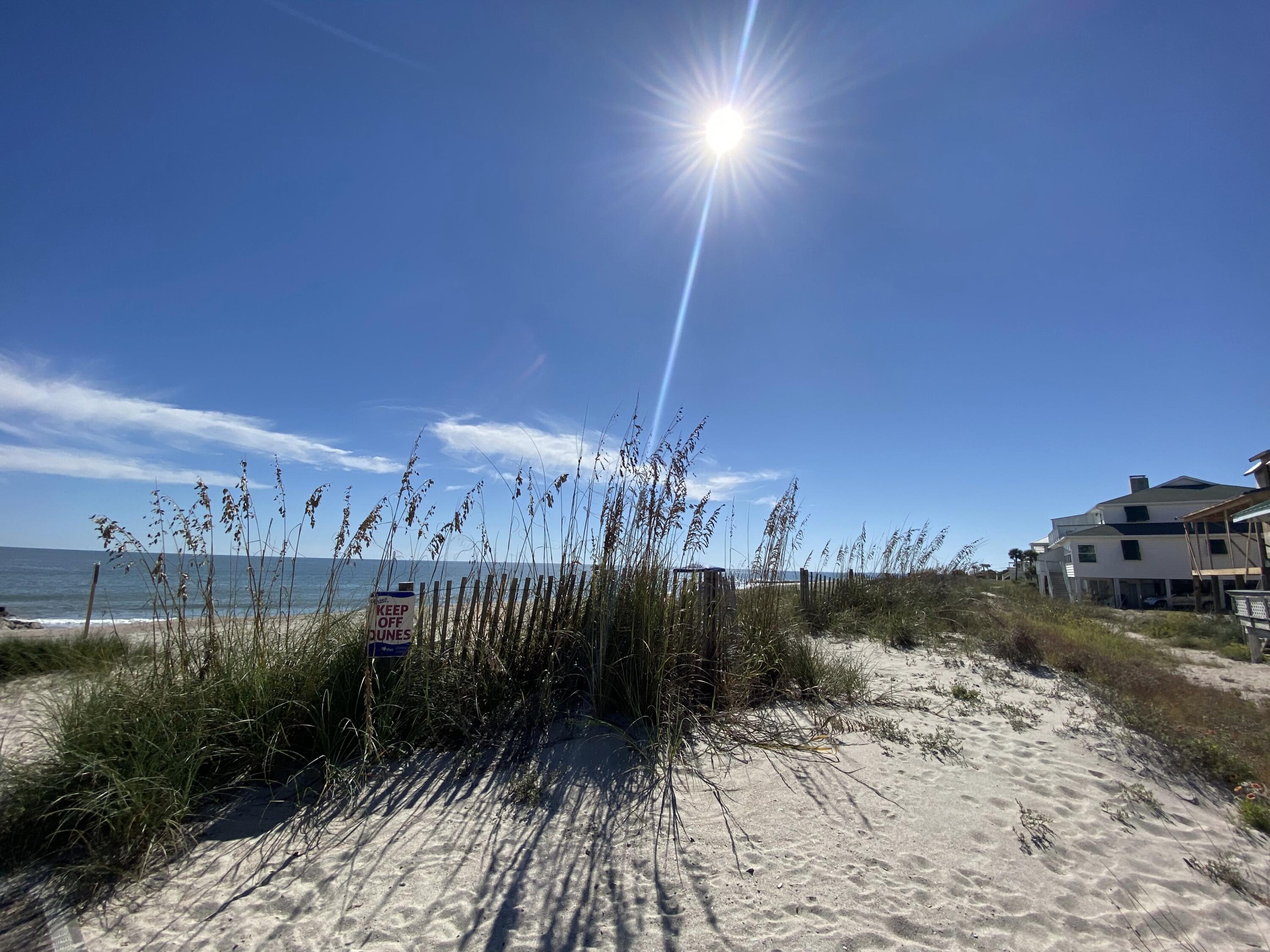 1001 Jungle Road Edisto Island, SC 29438 - Photo 2 of 100 1a