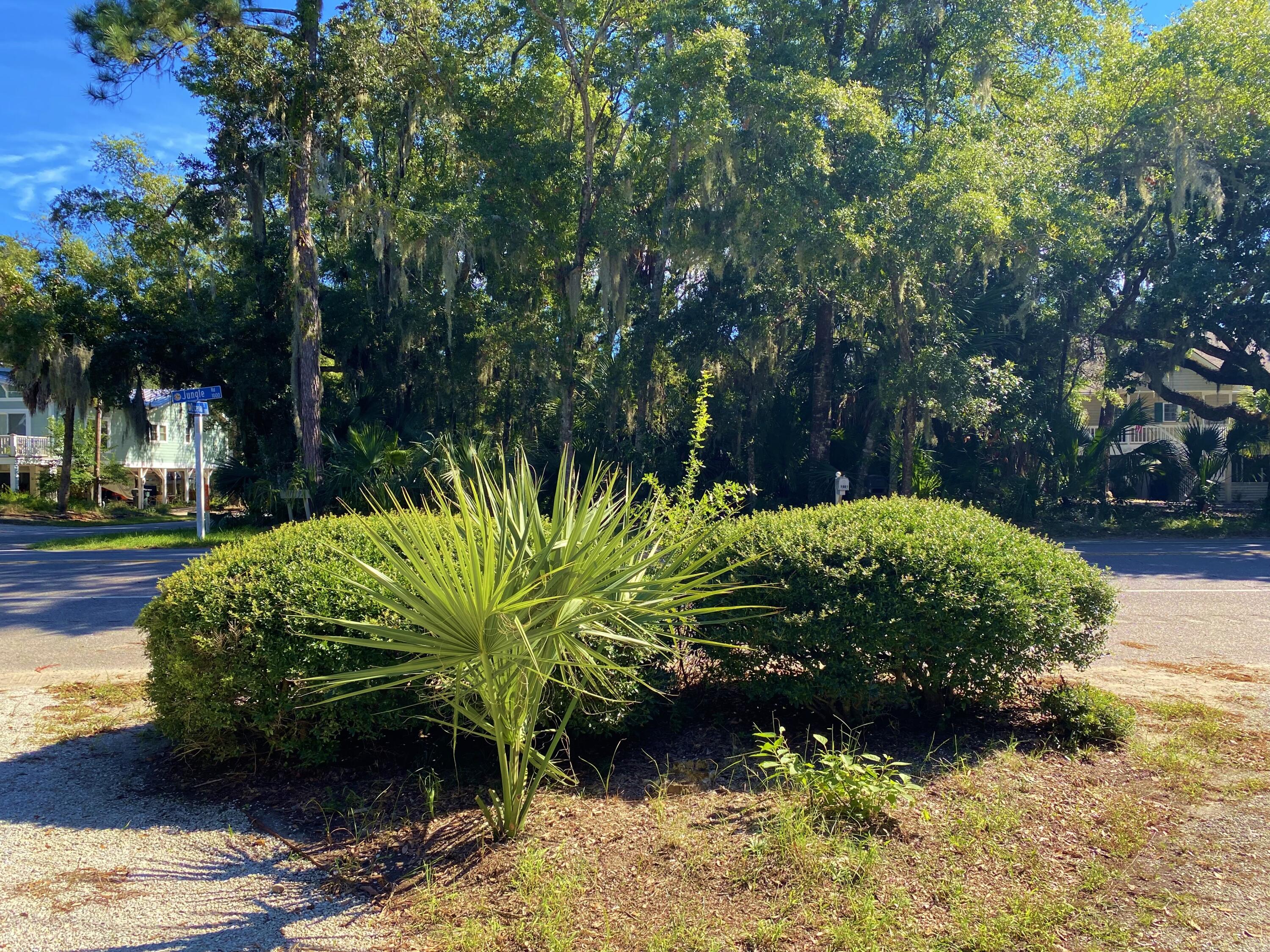 1001 Jungle Road Edisto Island, SC 29438 - Photo 15 of 100 9d