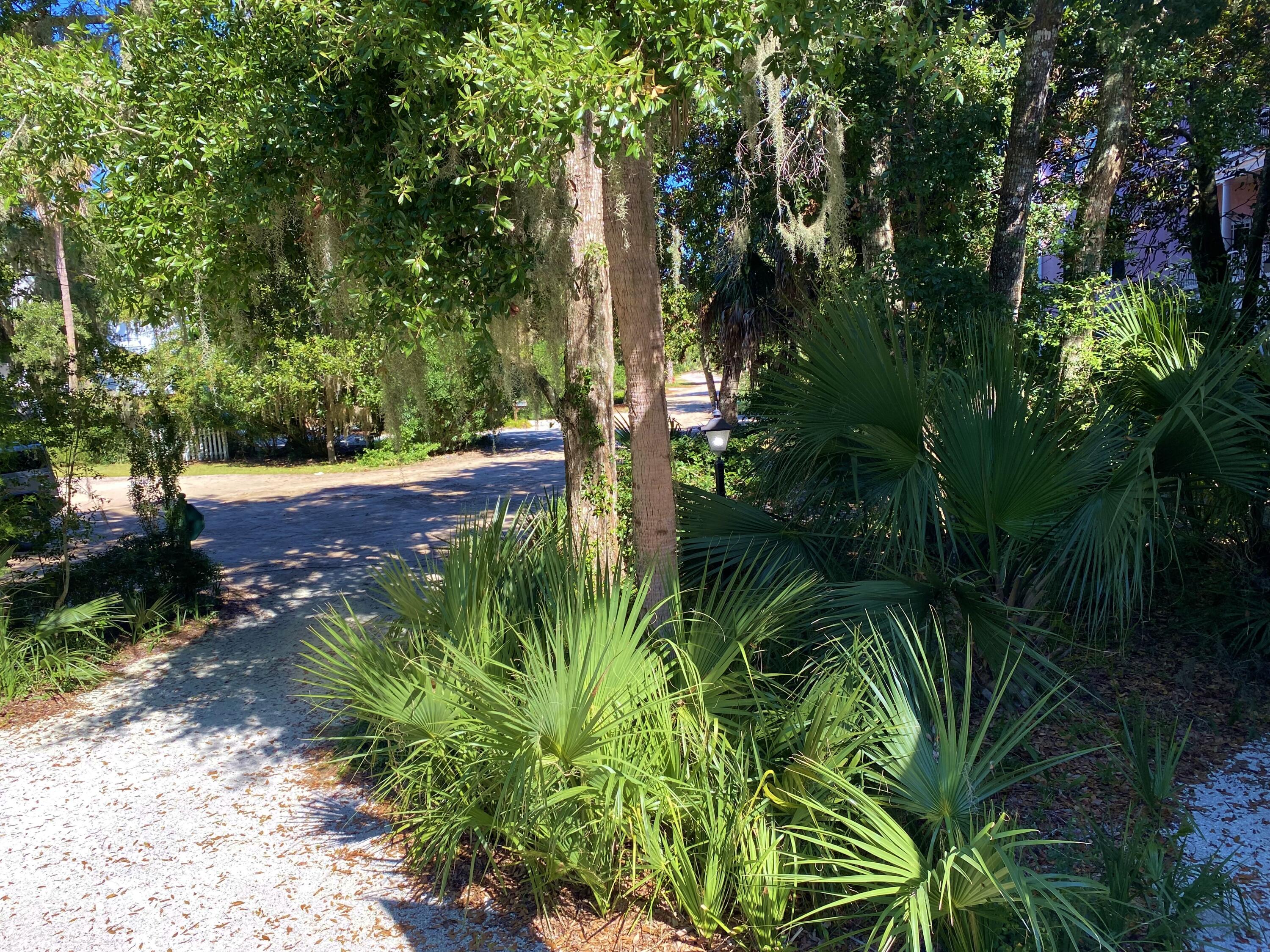1001 Jungle Road Edisto Island, SC 29438 - Photo 32 of 100 22a