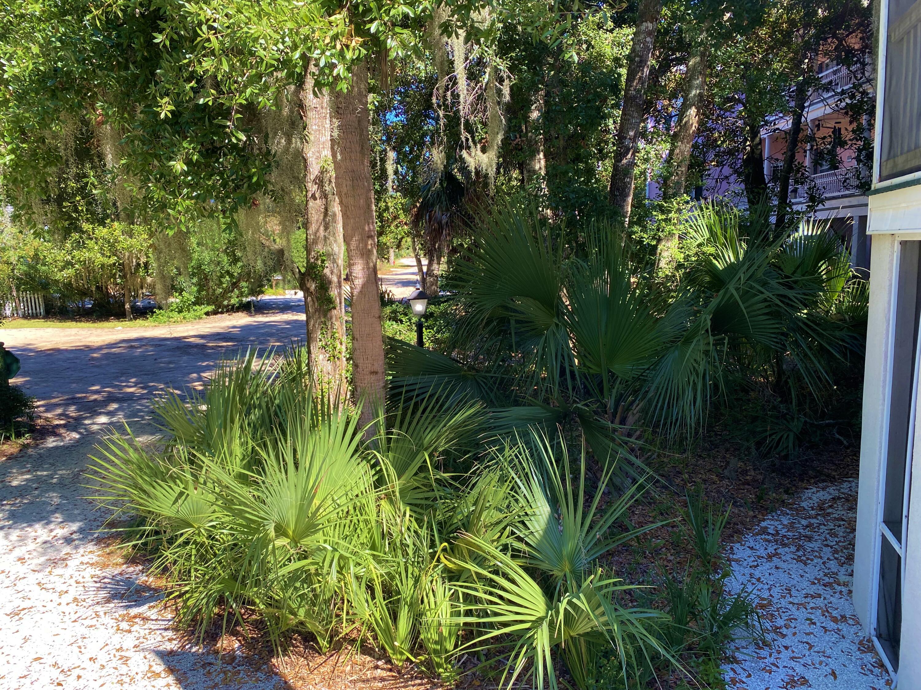 1001 Jungle Road Edisto Island, SC 29438 - Photo 92 of 100 86