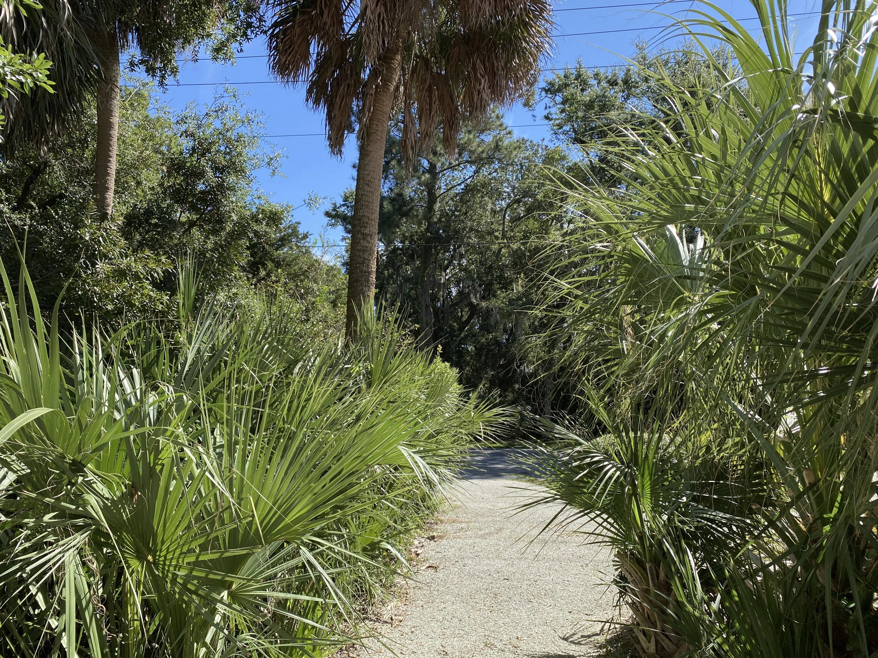 1001 Jungle Road Edisto Island, SC 29438 - Photo 98 of 100 93