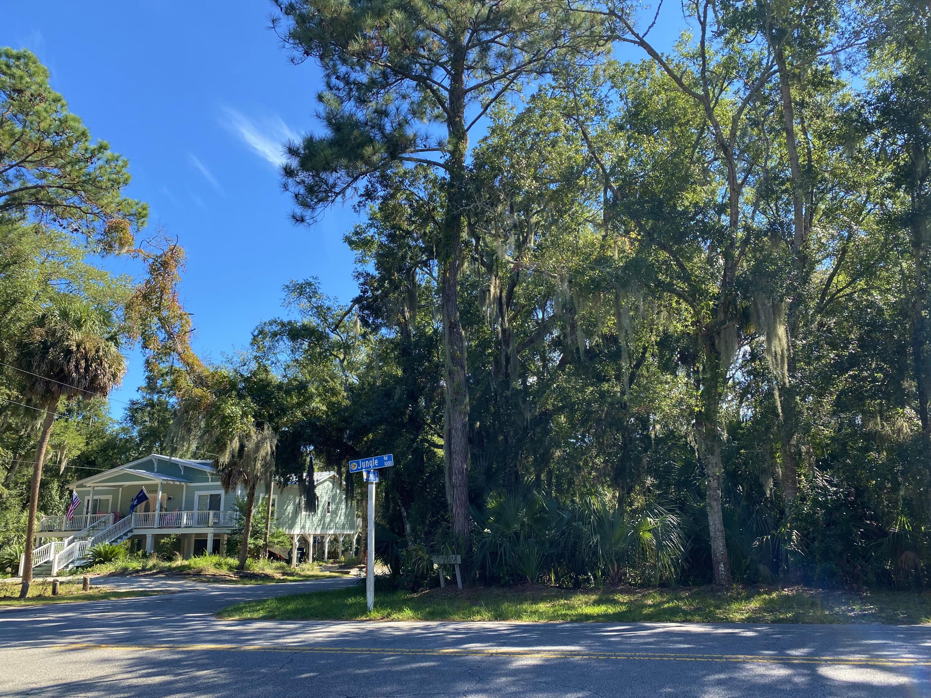 1001 Jungle Road Edisto Island, SC 29438 - Photo 99 of 100 94