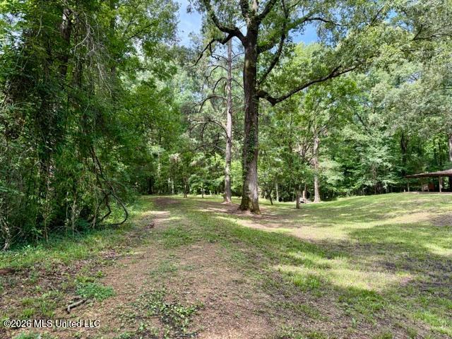 55 Scheffel Road Natchez, MS 39120 - Photo 3 of 29 55 Scheffel Pic 3