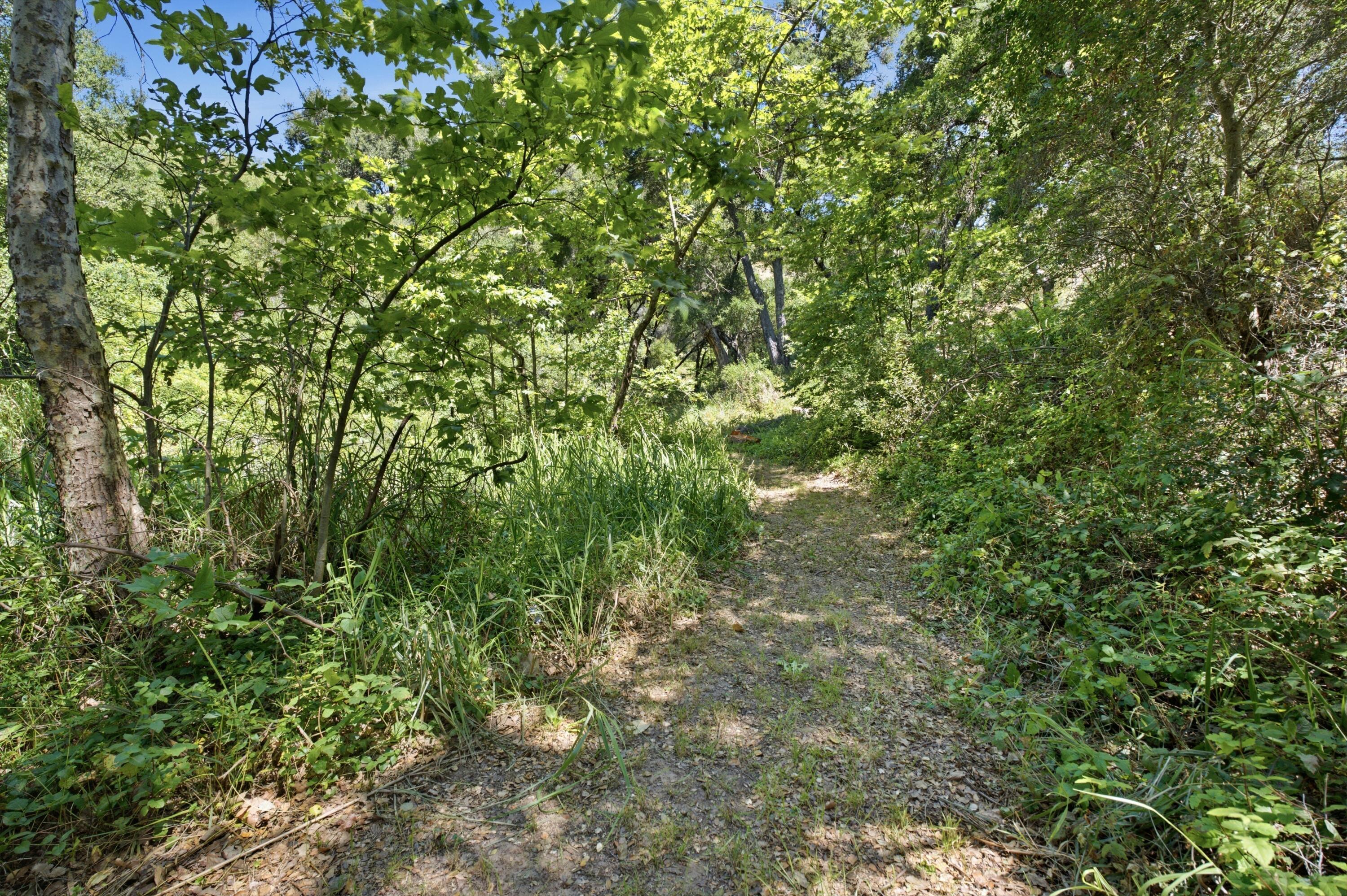 1743 San Marcos Pass Road Santa Barbara, CA 93105 - Photo 51 of 56 Trail
