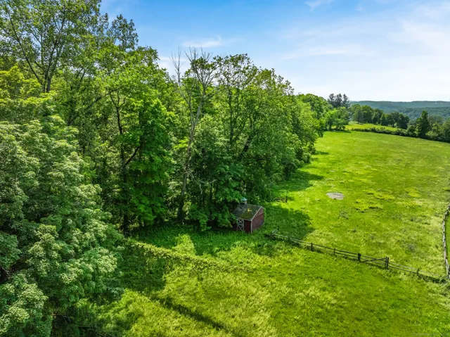 a view of a big yard with plants and large trees