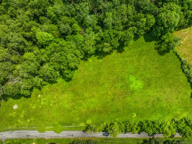 a view of a big yard with plants and large trees