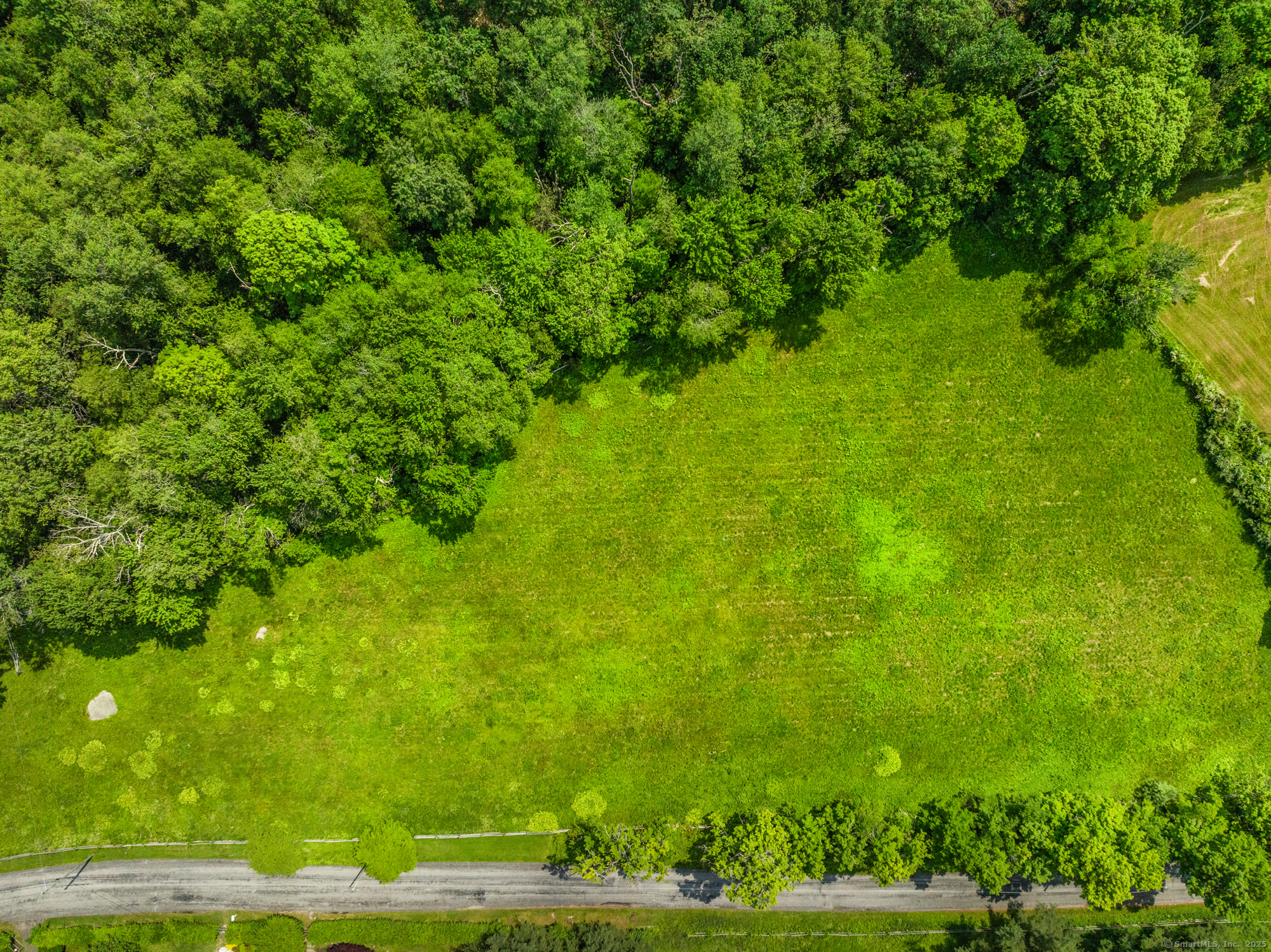 Curtiss Road Warren, CT 06777 - Photo 13 of 13 a view of a big yard with plants and large trees