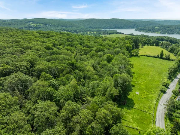 a view of a lush green forest with a lake
