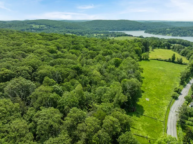 a view of a lush green forest with a lake