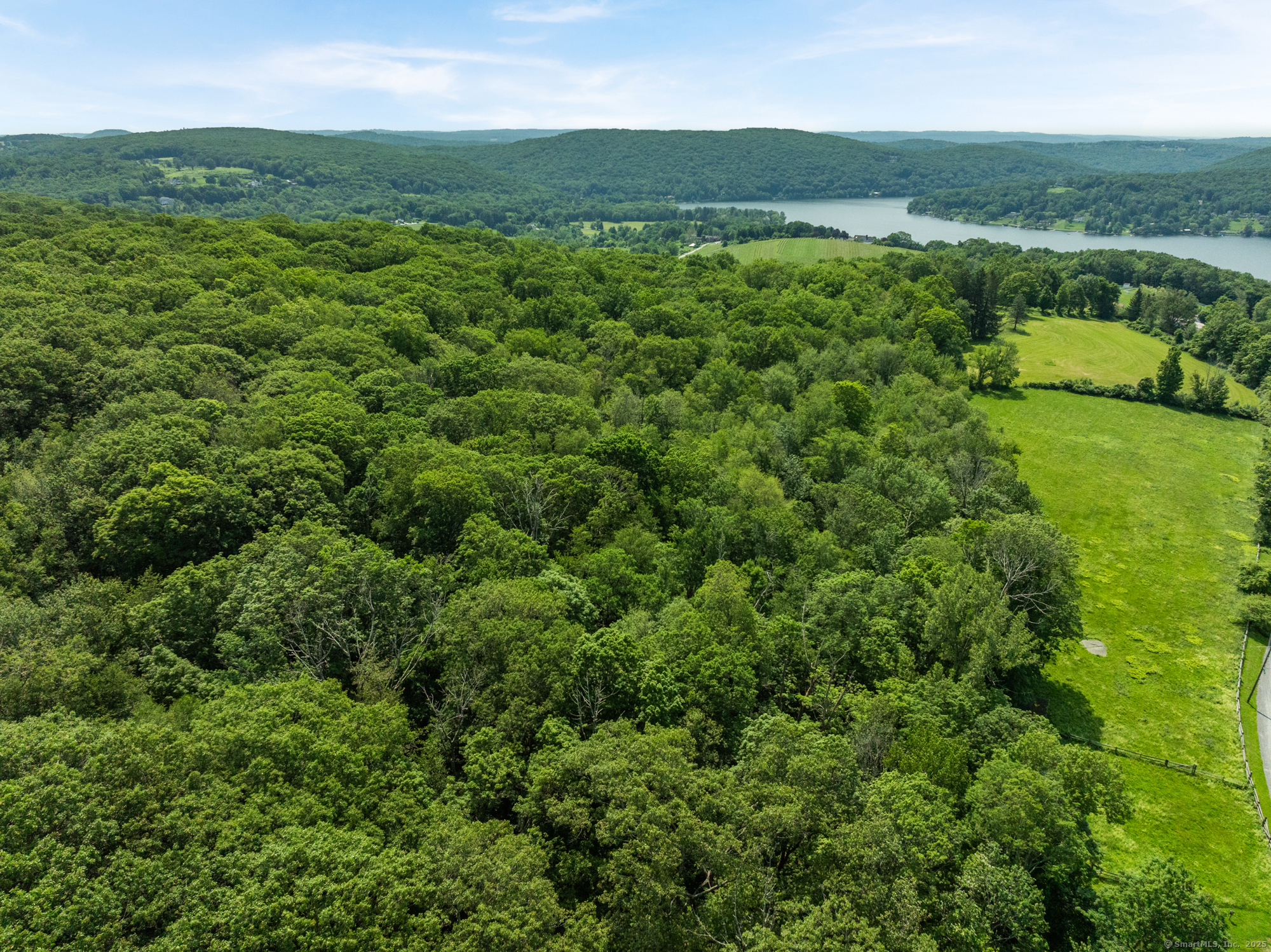 Curtiss Road Warren, CT 06777 - Photo 3 of 13 a view of a lush green forest with trees in the background