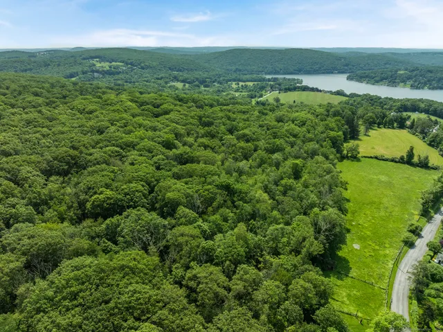 a view of a green field with lots of green space