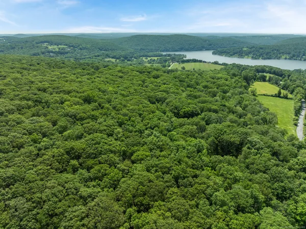 a view of a city with lush green forest
